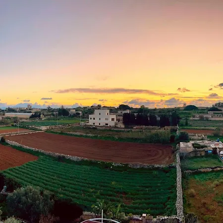 Number 33 - Dingli